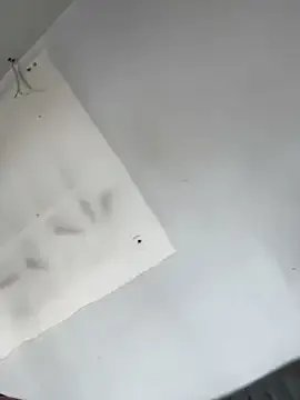 Freechat AnaRuiz on StripChat