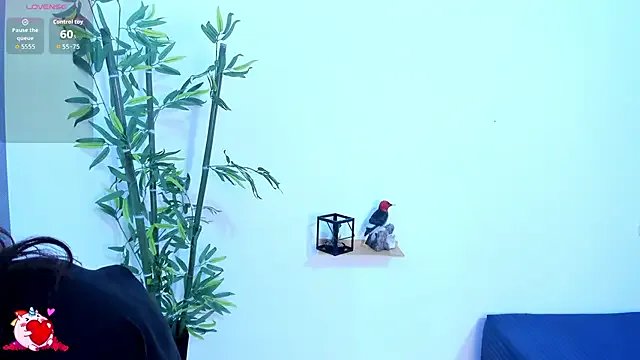 Freechat danika_moriii on StripChat