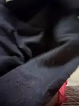 Freechat Lovely_Payal on StripChat